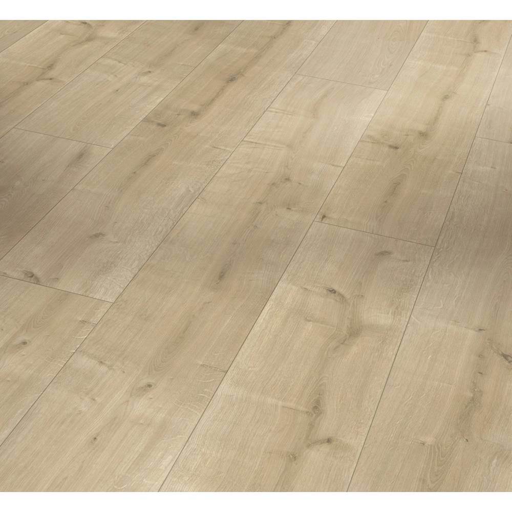 Panel laminowany Parador BASIC 400 (4V) dąb piaskowany 1426542