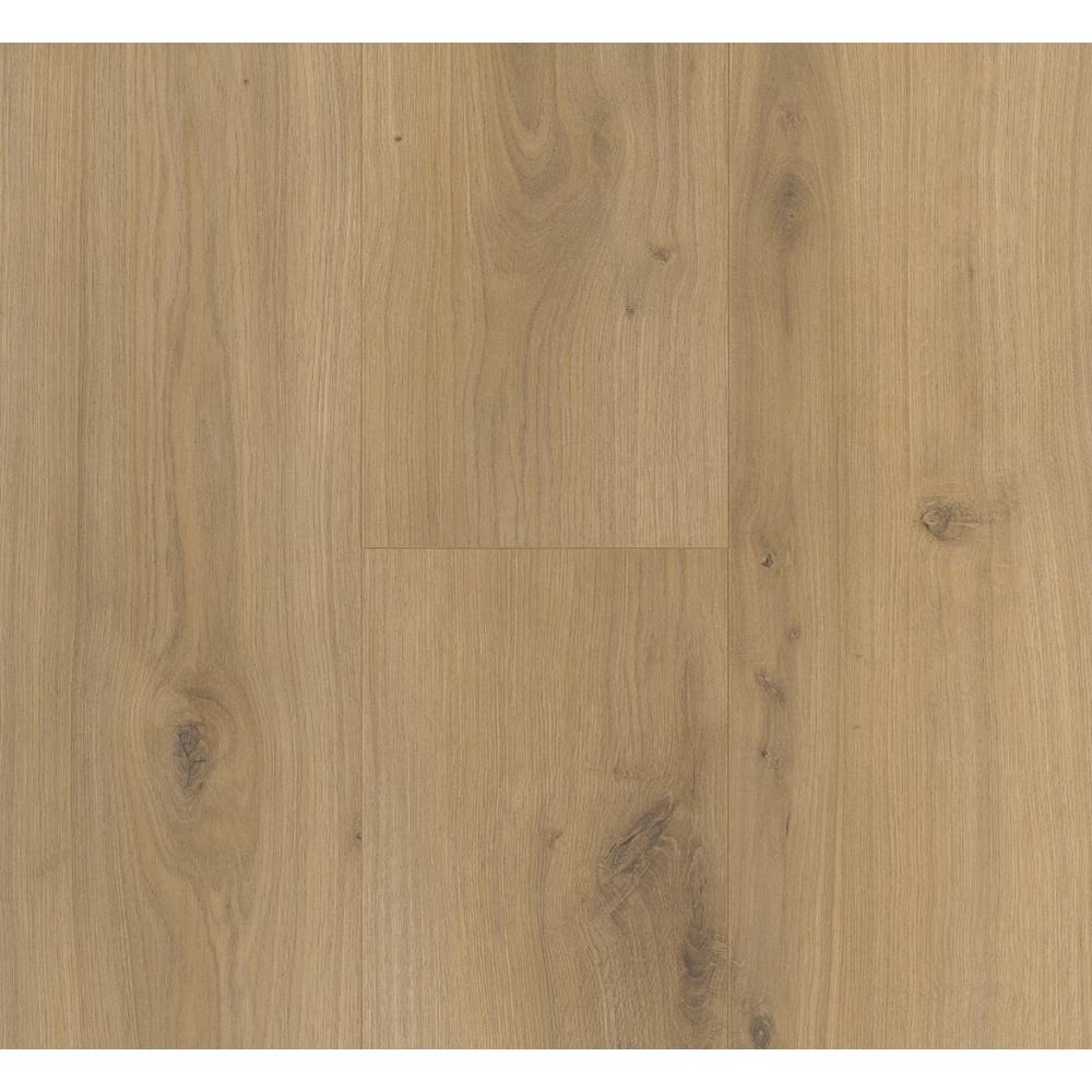 Panel laminowany Parador BASIC 400 (4V) dąb horizont naturalny 1593797