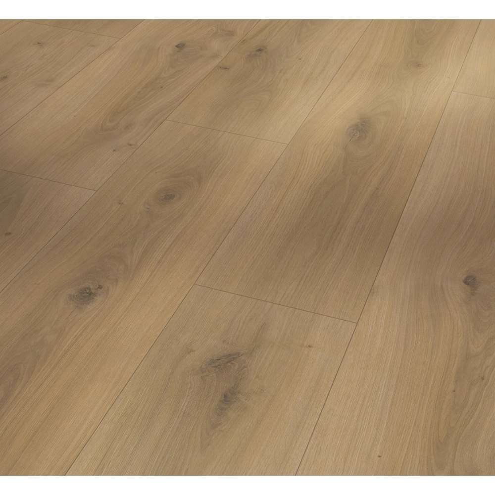 Panel laminowany Parador BASIC 600 (4V) dąb horizont naturalny 1593845
