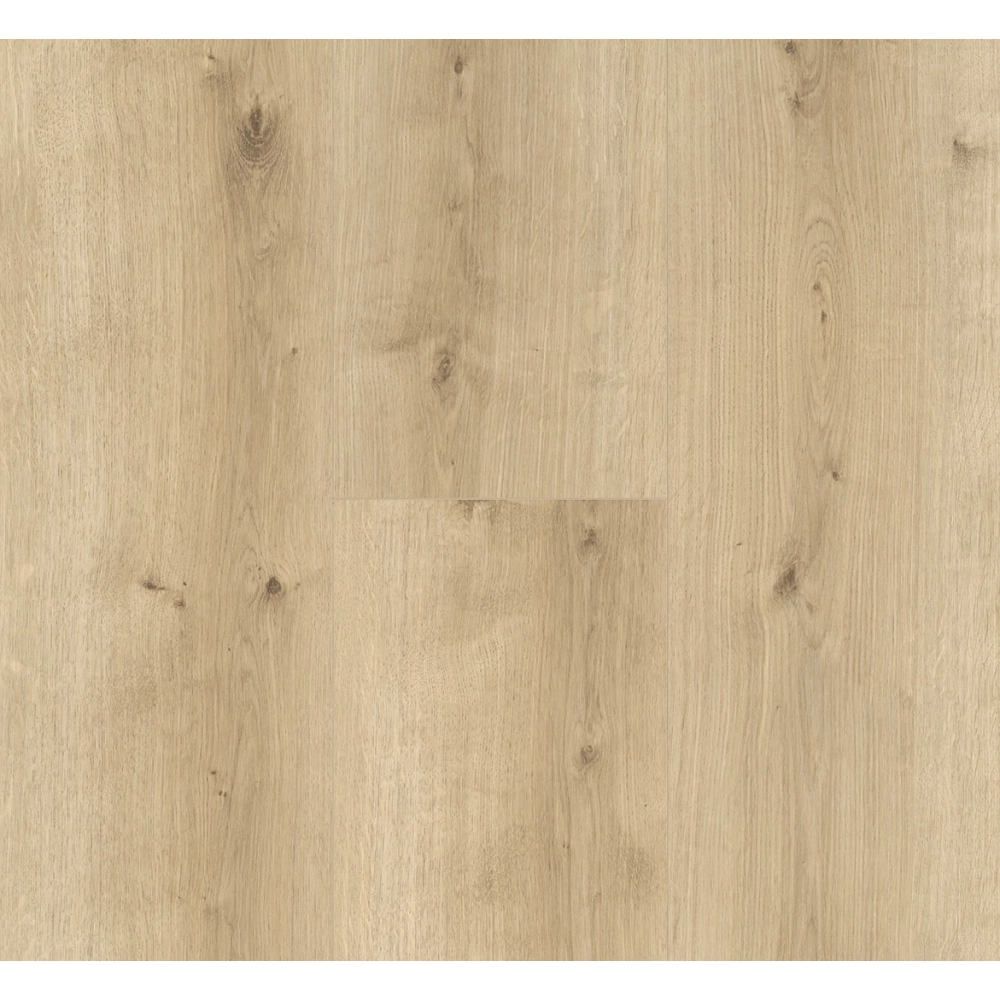 Panel laminowany Parador Modular One XL (4V) dab pure jasny 1730803