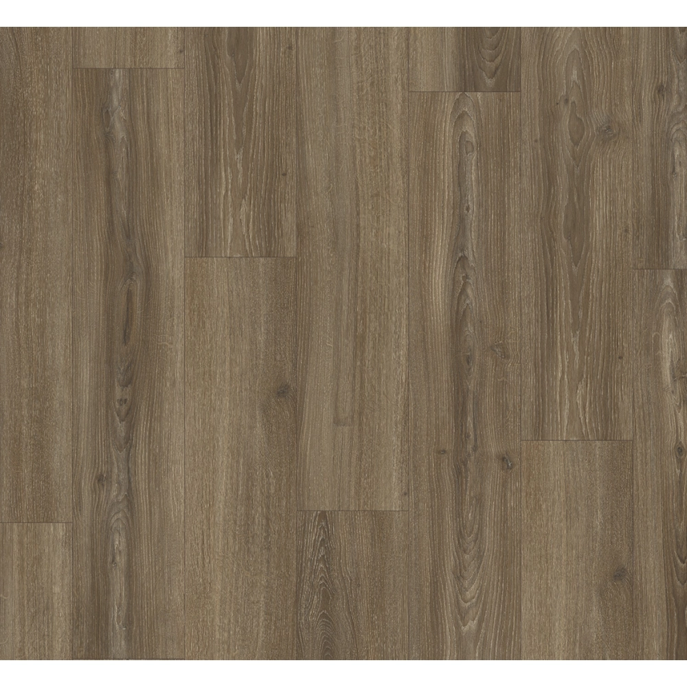 Panel laminowany Parador BASIC 600 (4V) dąb studioline brązowy 1748185