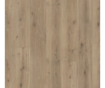 Panel laminowany Parador Trendtime 6 (4V) dąb castell wapnowany 1371173