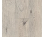 Panel laminowany Parador BASIC 400 (4V) dąb naturalny szary 1593798