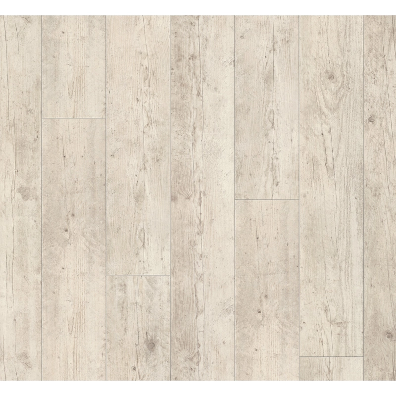 Panel laminowany Parador Trendtime 6 (4V) drewno budowlane 1473988