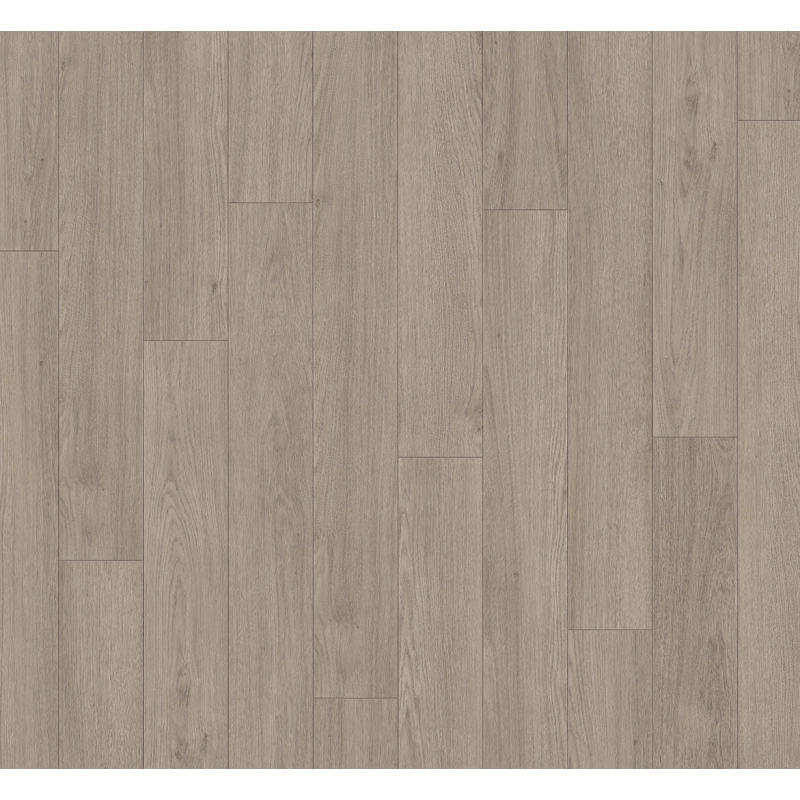 Panel laminowany Parador Trendtime 1 (4V) dąb mont blanc szary 1748708