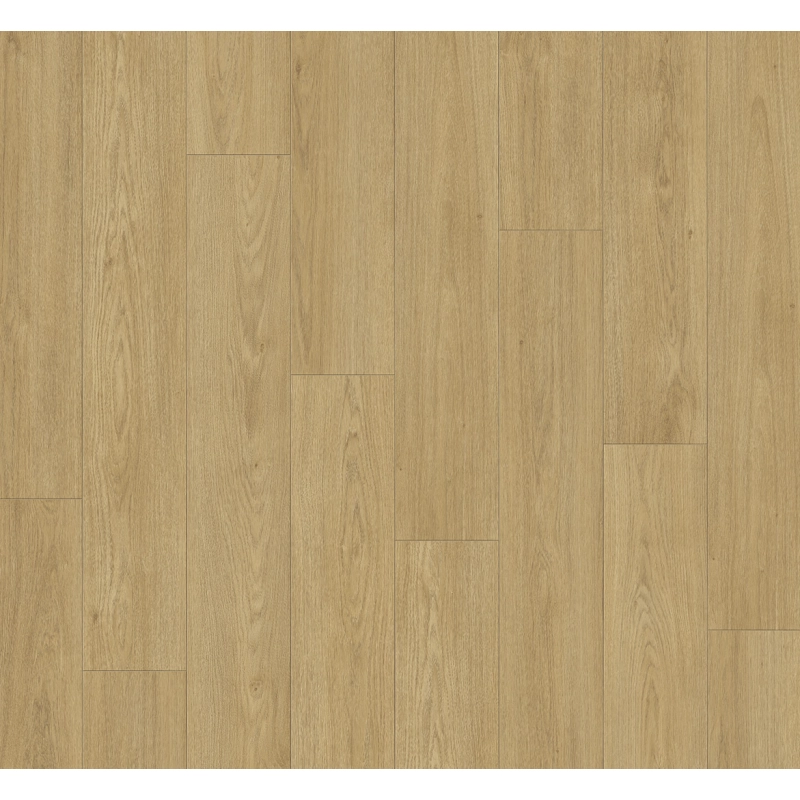 Panel laminowany Parador CLASSIC 1050  (4V) dąb mont blanc naturalny 1748724