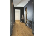 Panel Winylowy Quick Step Fuse Glue Fall Oak Honey Sgmpc20323