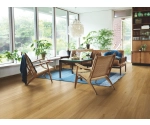 Panel Laminowany Pergo Bergen Pro Dąb Koloński L0246-05009