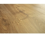 Panel Winylowy Quick Step Fuse Glue Fall Oak Honey Sgmpc20323