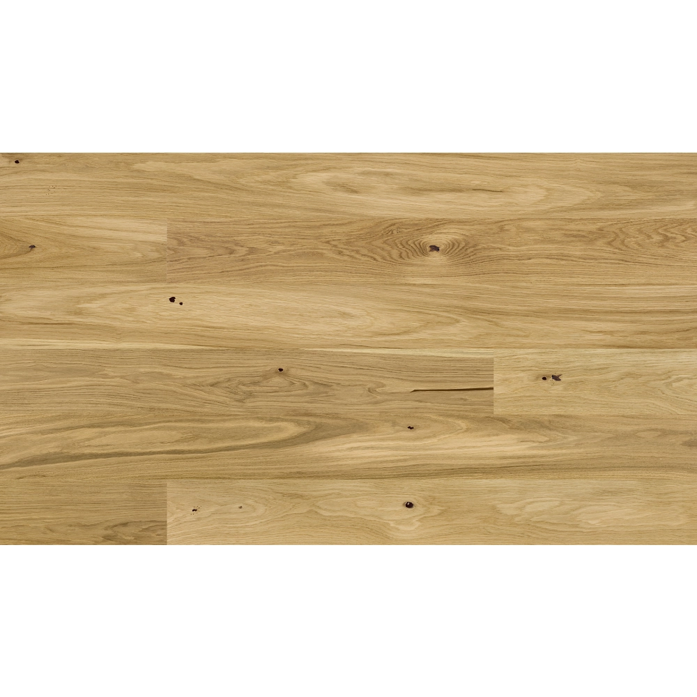 Barlinek Dąb Askania PURE LINE