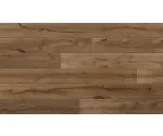 Barlinek Dąb Porto DECOR LINE