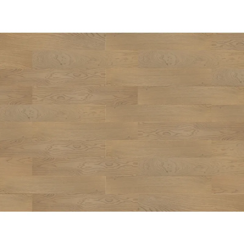 Finishparkiet Parkiet Dąb Borneo