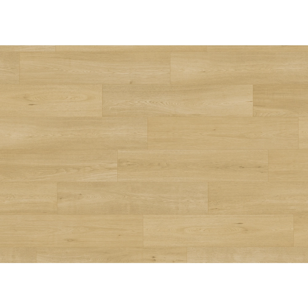 Ter Hürne Podłoga Laminowana Dąb Pure Szeroka deska 110102184