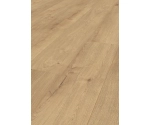 Ter Hürne Podłoga Laminowana Dąb Music Store Długa deska 110102184