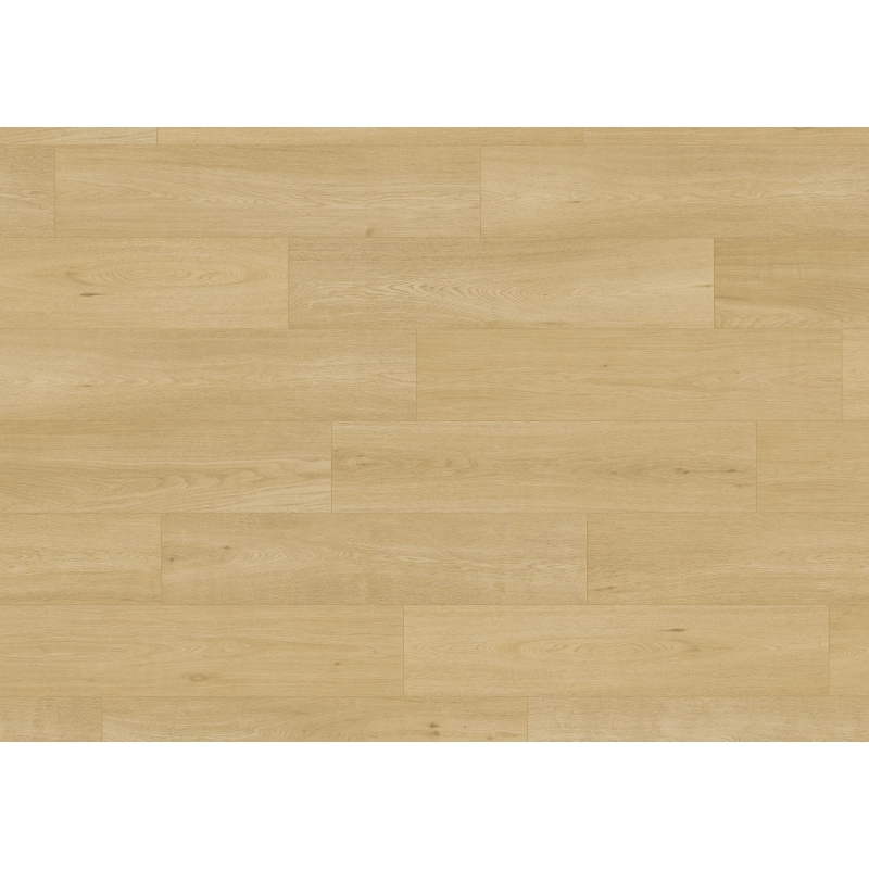 Ter Hürne Podłoga Laminowana Dąb Pure Szeroka deska 110102184